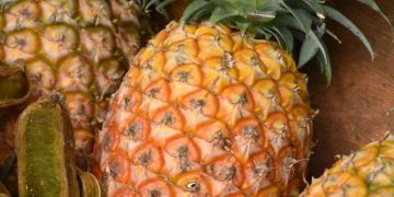 Ini 5 Manfaat Air Rebusan Nanas untuk Kesehatan Tubuh agar Kembali Prima